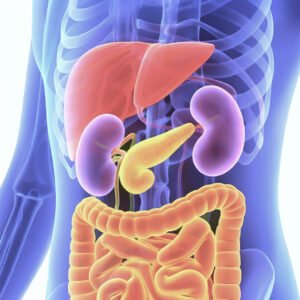 Curso de Ecografía Abdominal General